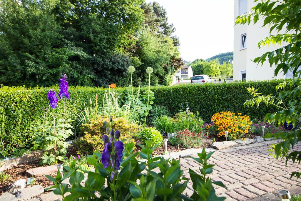 Gaestehaus Ehses Bernkastel-Kues Ngoại thất bức ảnh
