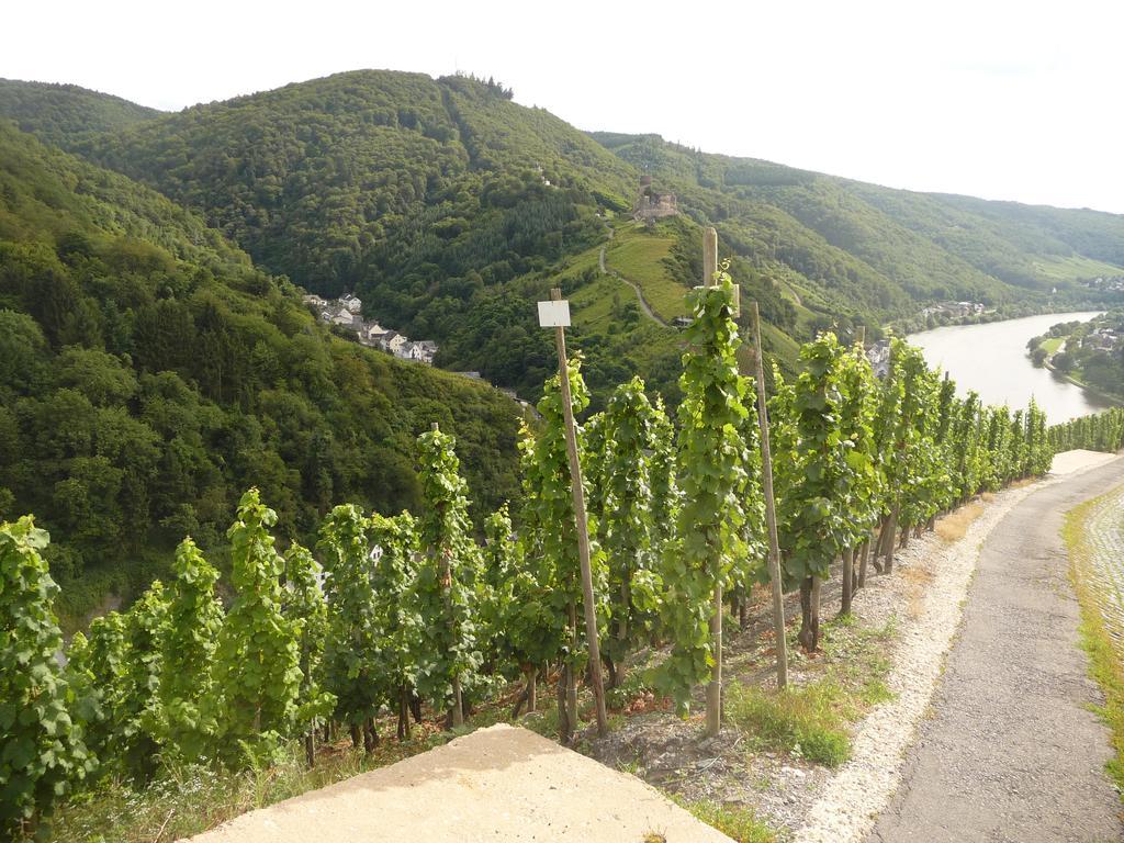 Gaestehaus Ehses Bernkastel-Kues Ngoại thất bức ảnh